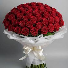 Букет 101 Красная роза Блэк Мэджик в Лальске