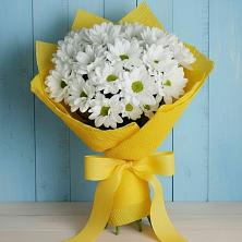 Букет цветов из:  Хризантемы в Лальске