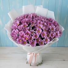 Букет цветов из:  Хризантемы в Лальске