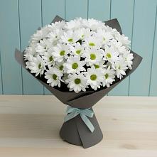 Букет цветов из:  Хризантемы #REPLACE_PRED# Лальске