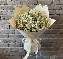 Букет цветов из:  Ромашки в Лальске