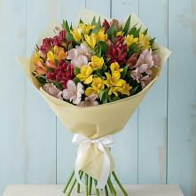 Букет цветов из:  Альстромерии в Лальске