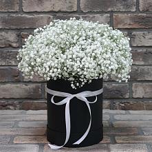 Цветочная композиция из Гипсофила в шляпной коробке в Лальске